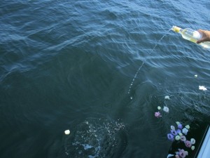 江ノ島散骨