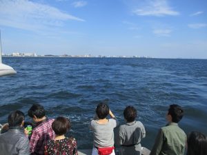 東京ディズニーシー沖チャーター海洋散骨