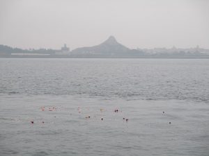 東京湾ディズニーシー沖散骨