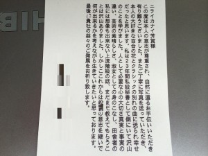 委託散骨のご感想