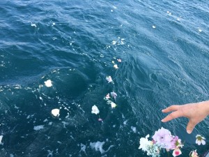 散骨家族葬