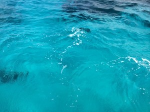 IMG_9945