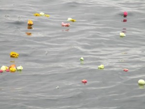 東京の海の散骨