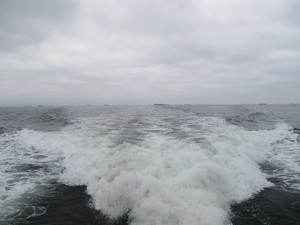 東京散骨