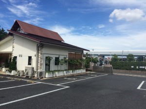 墓じまいから海洋散骨