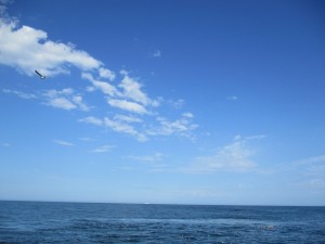 青い空と海での散骨