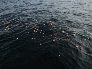 東京湾海洋散骨