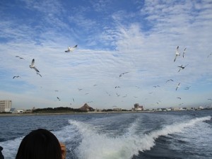 東京ディズニーシー沖での海洋散骨