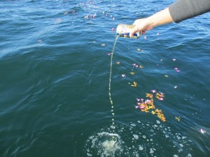 ビールが好きだった人の散骨