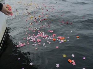 東京湾での海洋散骨会社