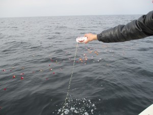 海への散骨