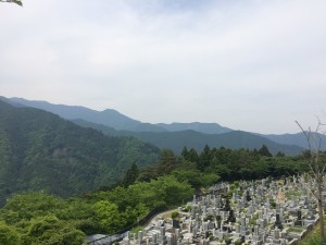 墓じまいと海洋散骨