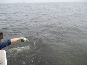 東京海洋散骨の合同散骨