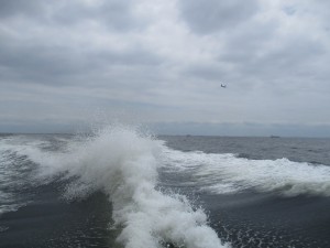 東京海洋散骨チャーター