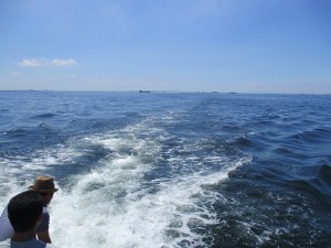 東京湾での散骨