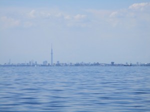 スカイツリーの見える海での散骨