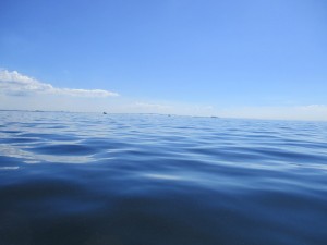 アクアラインの見える海での散骨
