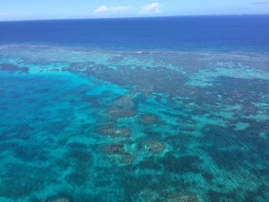 東京海洋散骨の沖縄散骨