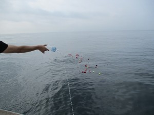 神奈川海洋散骨