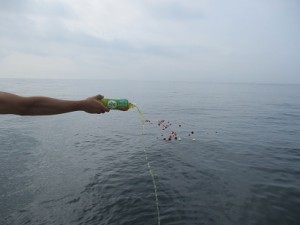 三浦半島散骨