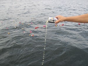 海洋散骨での献酒