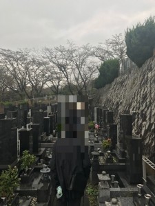 散骨のためにお墓からご遺骨を