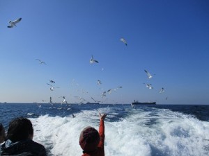 海への散骨は東京海洋散骨