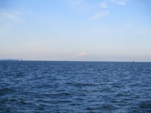 富士山を臨む東京湾散骨