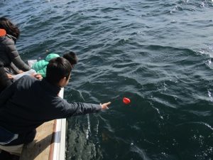 東京海洋散骨チャーター