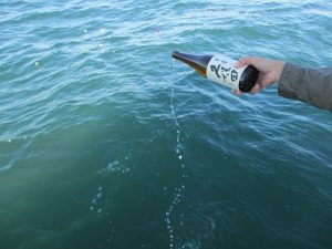 海洋代理散骨