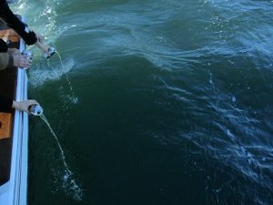 海洋散骨は東京海洋散骨