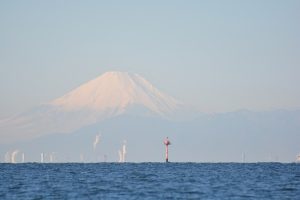 東京海洋散骨と富士山