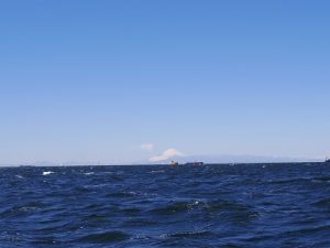 富士山の見える海洋散骨