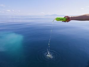 日本海での散骨