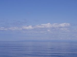 佐渡島近海での散骨