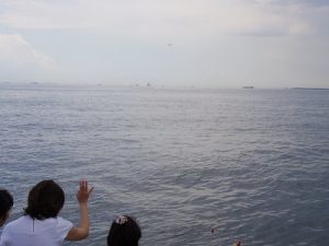 東京海洋散骨ディズニーシー