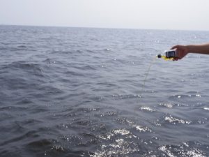 海洋散骨ジャックダニエル