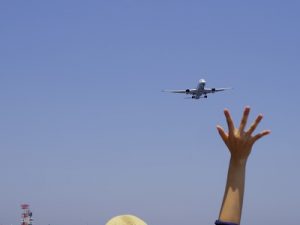 羽田空港沖散骨