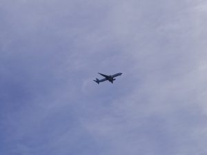 東京湾散骨羽田空港