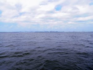 東京海洋散骨合同