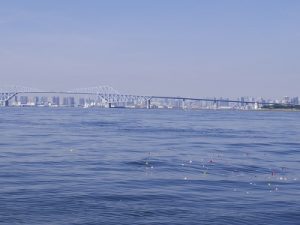東京ゲートブリッジ海洋散骨