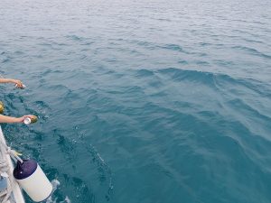 石垣島の海洋散骨