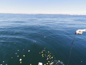 東京海洋散骨の合同散骨プラン