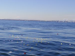 東京の海洋散骨