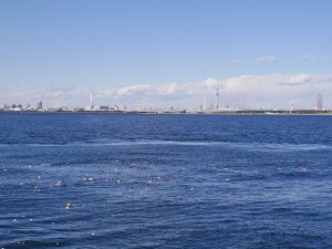 スカイツリーの見える東京海洋散骨