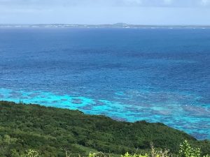 東京海洋散骨の宮古島散骨