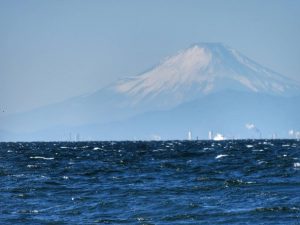 東京海洋散骨と富士山