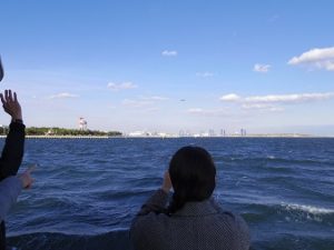東京湾羽田空港沖散骨