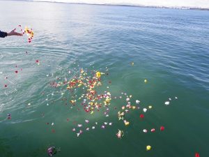 東京湾家族散骨