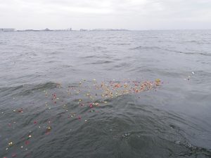 東京湾ディズニーシー沖散骨